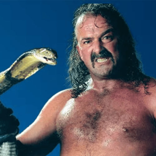 Pro Wrestling Legend, Jake 'the Snake' Roberts, Arctic Comic Con, Anchorage, Alaska, Cosplayers, Celebrities, Artists, Gaming, Comic Books, Anime, Venders