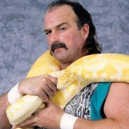 Pro Wrestling Legend, Jake 'the Snake' Roberts, Arctic Comic Con, Anchorage, Alaska, Cosplayers, Celebrities, Artists, Gaming, Comic Books, Anime, Venders